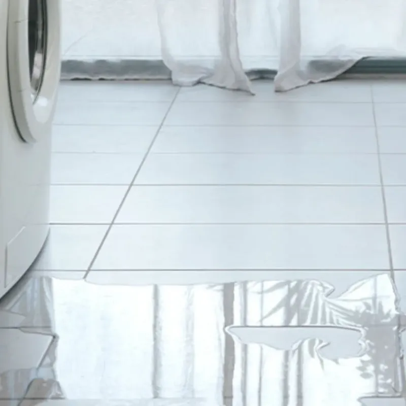 Appliance Leak Cleanup in Cortez, FL
