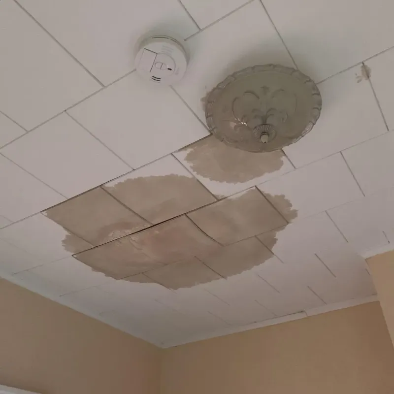 Ceiling Water Damage Repair in Cortez, FL
